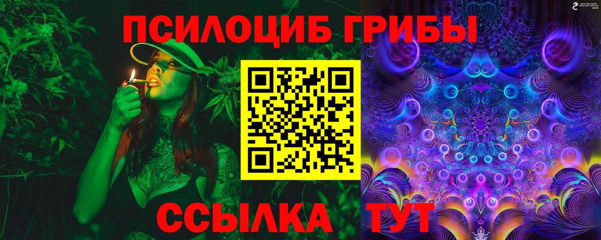 Псилоцибиновые грибы Cubensis Звенигород